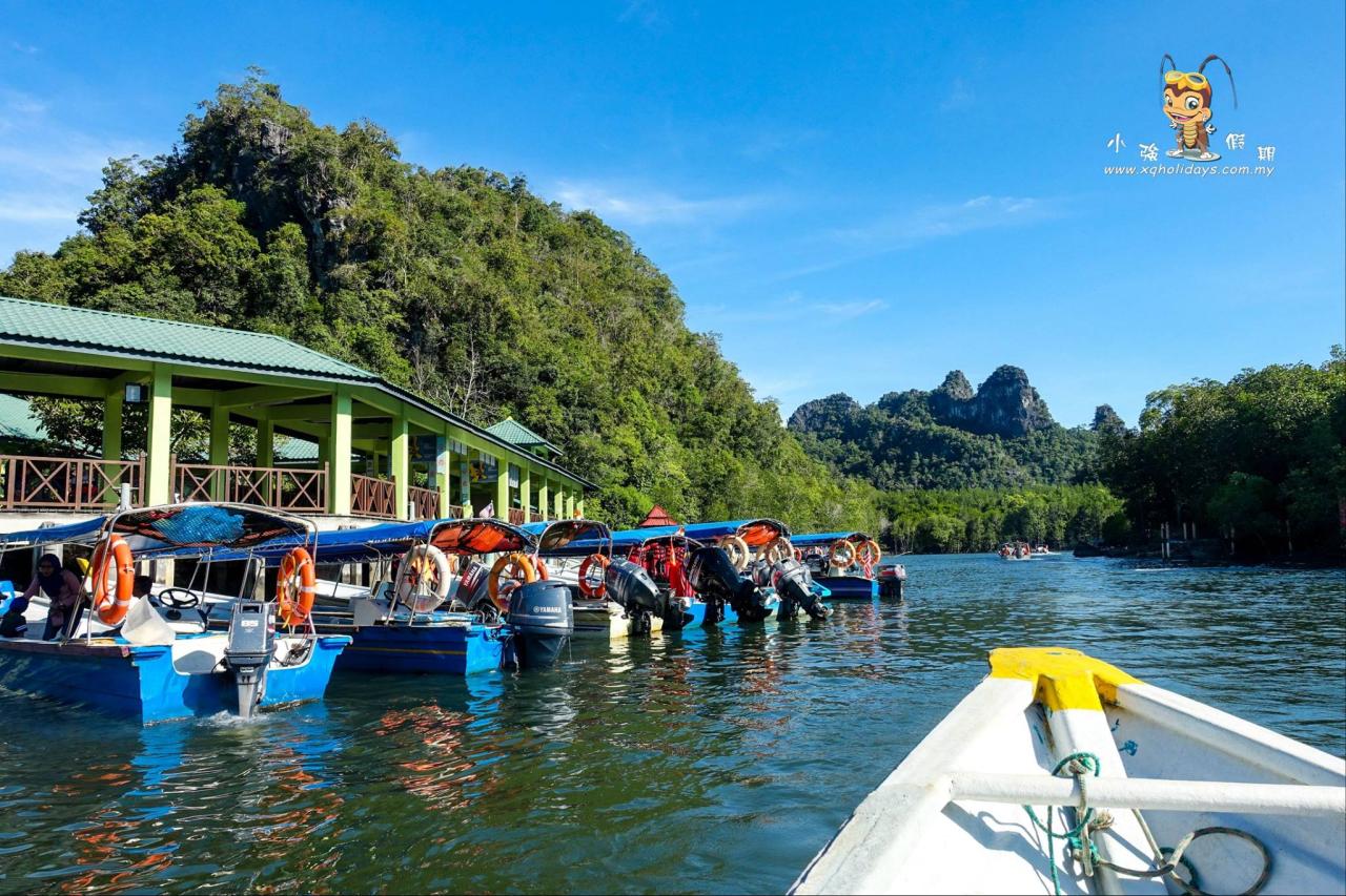 Langkawi mangrove tour boat trip